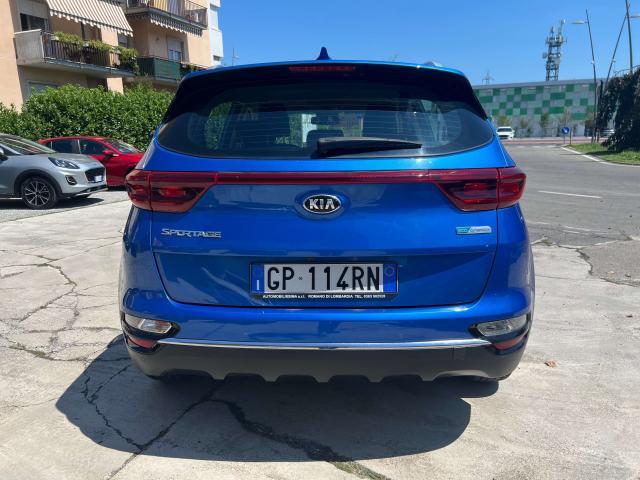 Kia Sportage 2021 1.6 crdi mhev Business Class 2wd 136cv dct