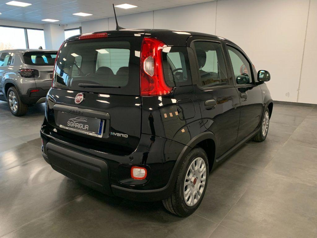 Fiat Panda 1.0 Benzina Hybrid City Life