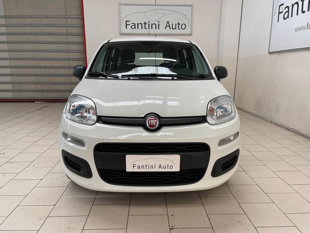 Fiat Panda Easy 1.2 easypower Gpl 69cv-Ok Neopatentati-LEGGI SOTTO