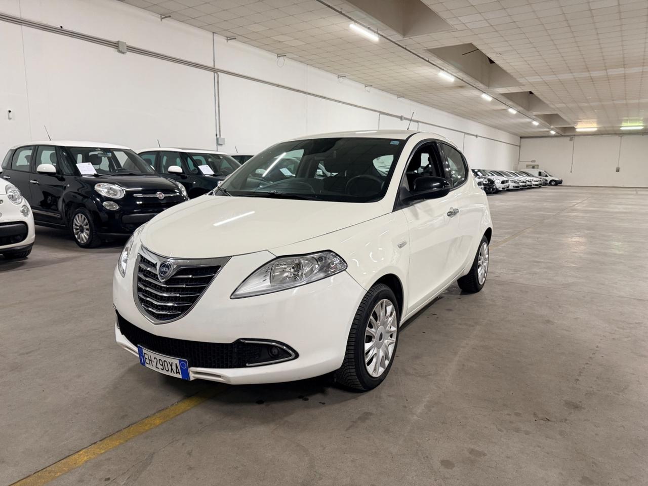 Lancia Ypsilon 1.2 69 CV 5 porte S&S Platinum