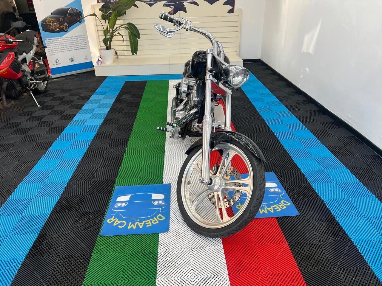 HARLEY-DAVIDSON REDNEK LOWLIFE