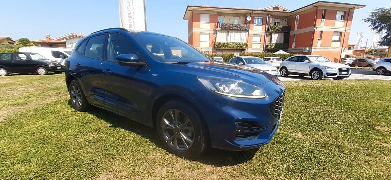 Ford Kuga 1.5 EcoBlue 120 CV aut. 2WD ST-Line