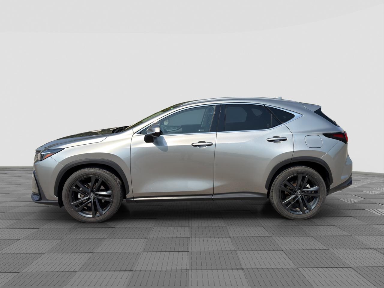 LEXUS NX 2ª serie NX Hybrid 4WD Premium +