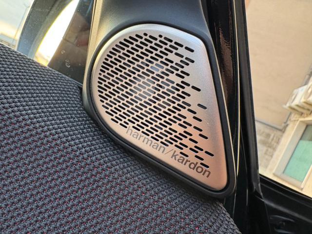 MINI Countryman D JCW Countryman TETTO APR/PAN-CERCHI DA 20''