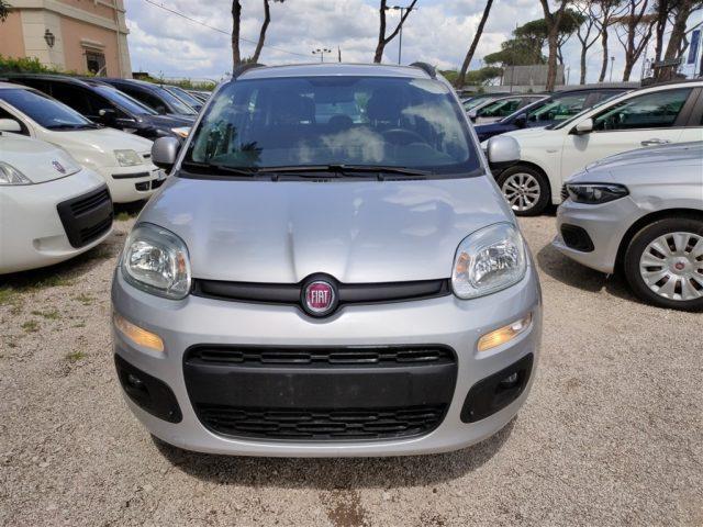 FIAT Panda 1.2 Lounge GPL OK NEOPATENT. CLIMA,FENDINEBBIA ..