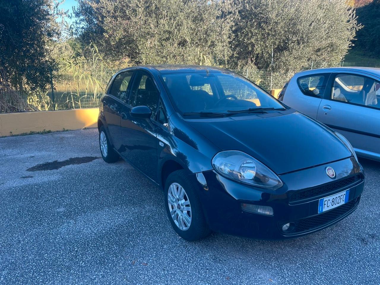 Fiat Punto 1.4 8V 5 porte Natural Power Lounge