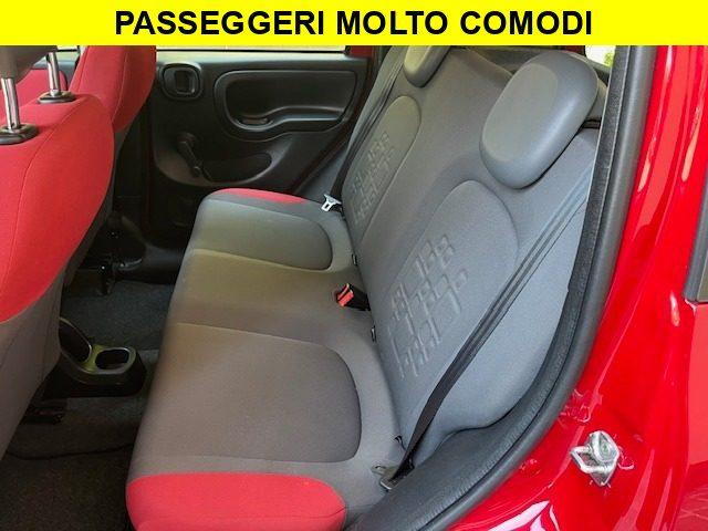 FIAT Panda 1.2 Benzina Neopatentati