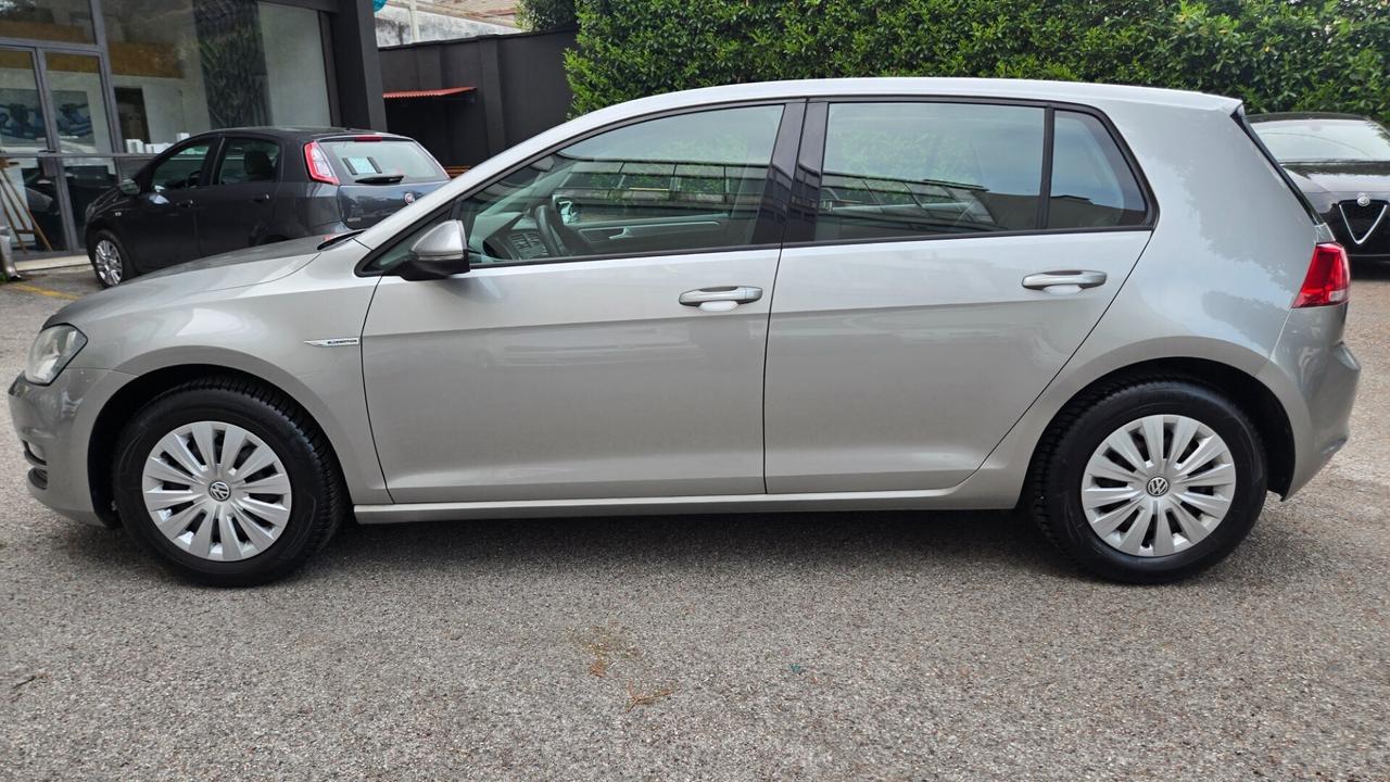 Volkswagen Golf Business 1.4 TGI 5p. BlueMotion ME