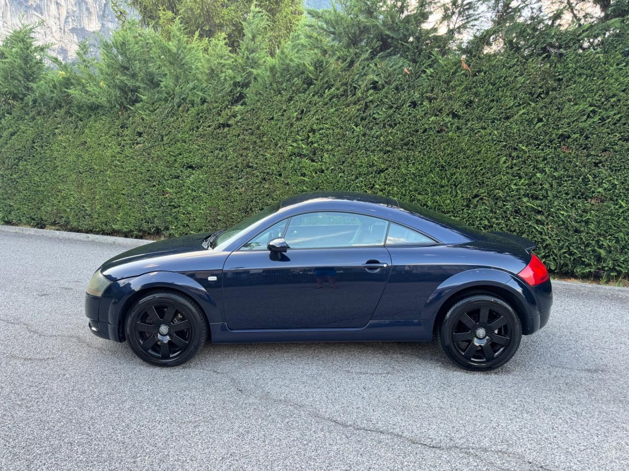 Audi TT Roadster 1.8T 179cv