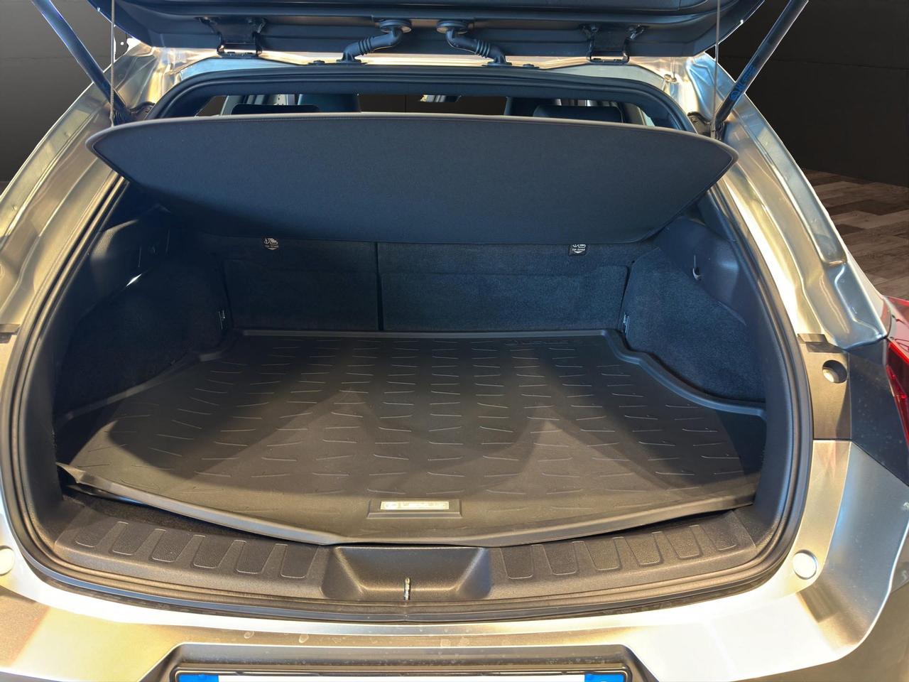 Lexus UX 250h 2.0 Business 2wd cvt