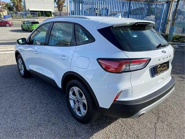 Ford Kuga 1.5 EcoBlue 120 CV 2WD Connect