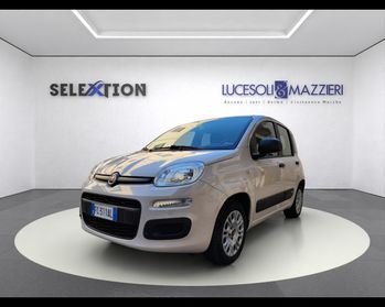 FIAT PANDA - Panda 1.2 Easy