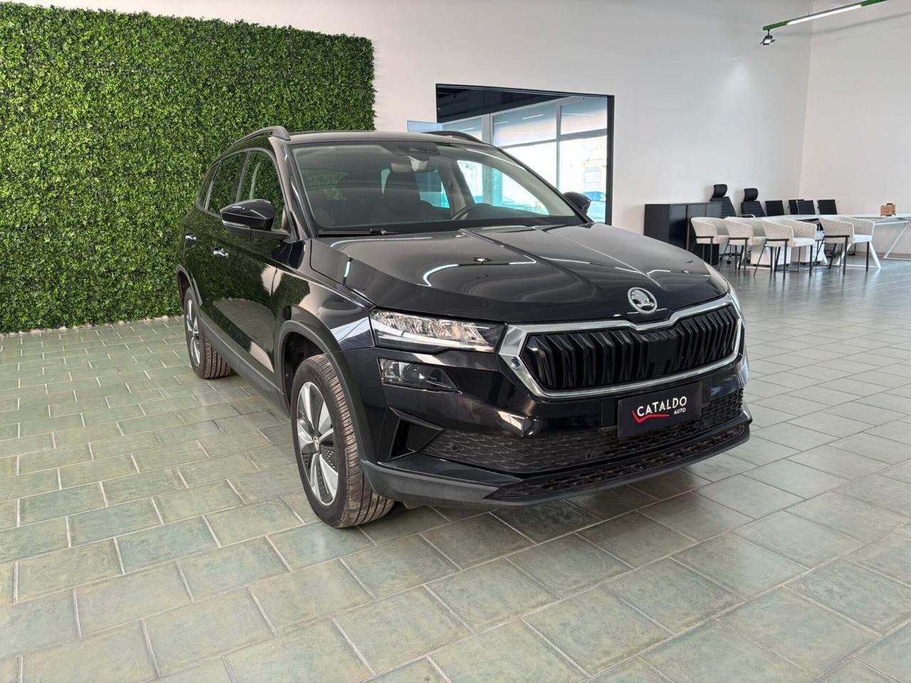 Skoda Karoq 2.0 TDI EVO SCR 115 CV DSG Style