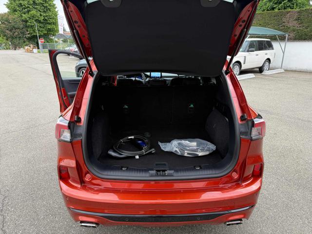 FORD Kuga 2.5 Plug In Hybrid 225 CV CVT 2WD ST-Line
