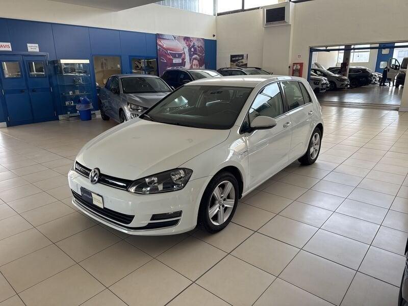 Volkswagen Golf 1.4 TGI 5p. Executive BlueMotion