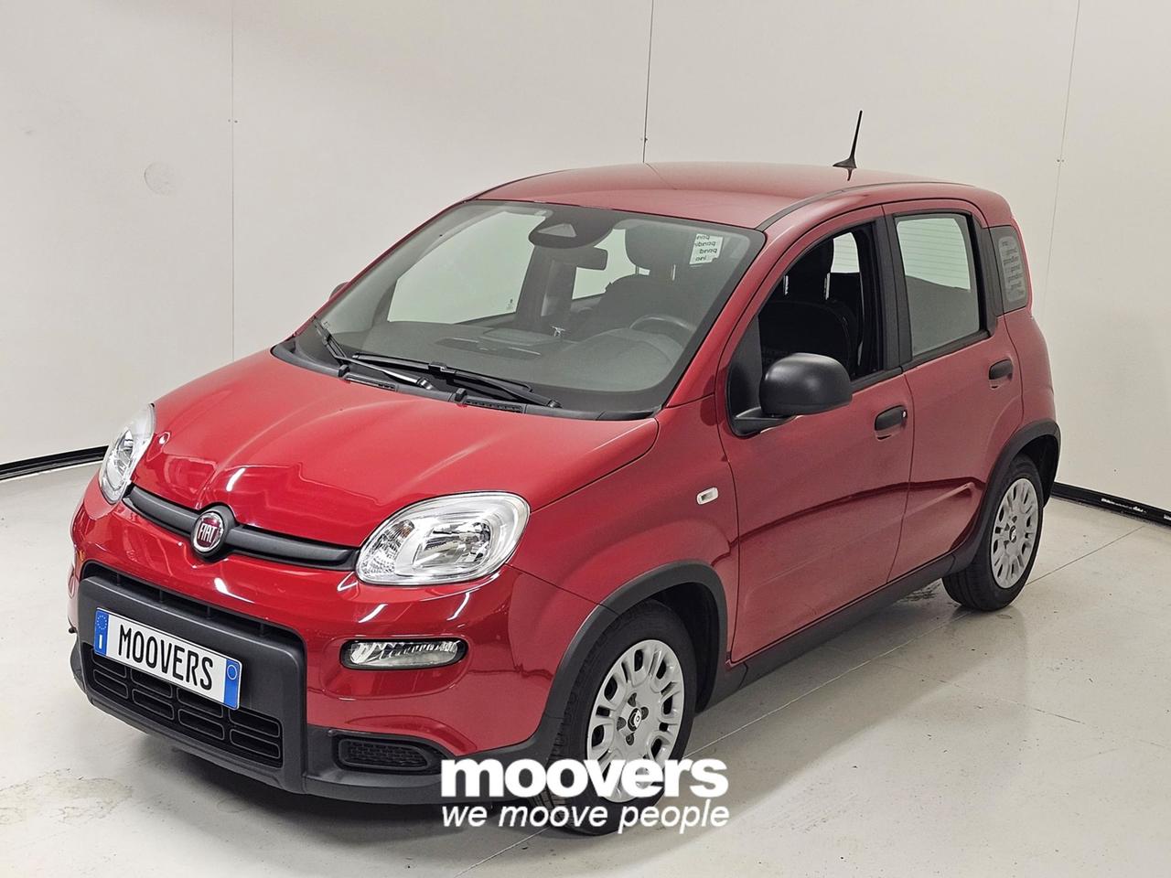 FIAT Panda 3ª serie 1.0 FireFly S&S Hybrid