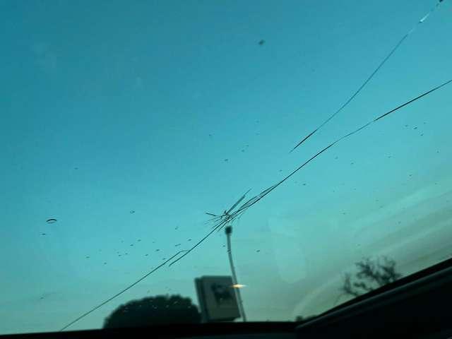 Fiat 500L 500L 1.3 mjt Trekking 85cv