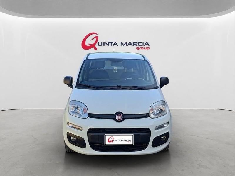 FIAT Panda 1.3 MJT 95 CV FENDINEBBIA/COMANDI AL VOLANTE (041)