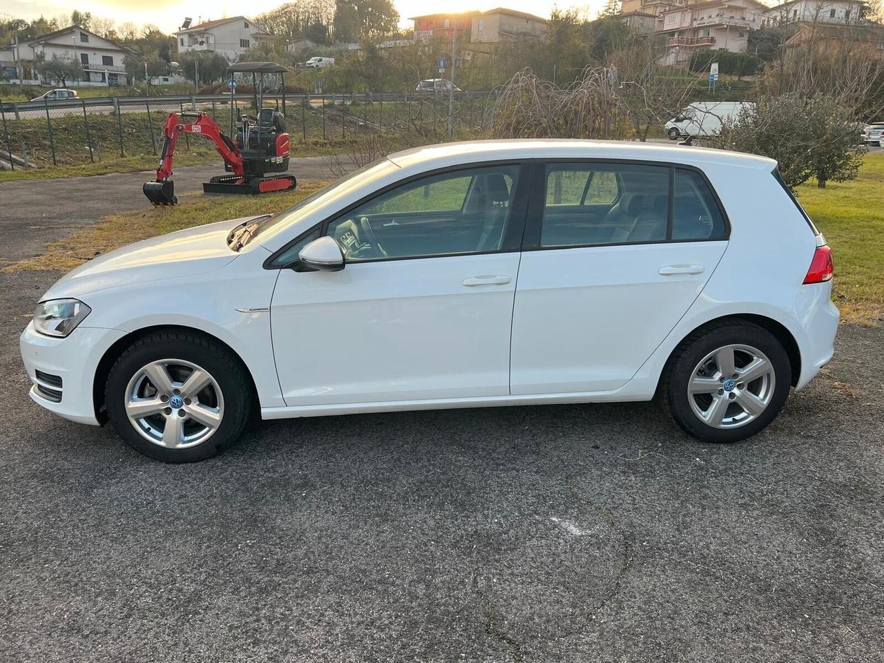 Volkswagen Golf 1.4 TGI 5p. Trendline BlueMotion