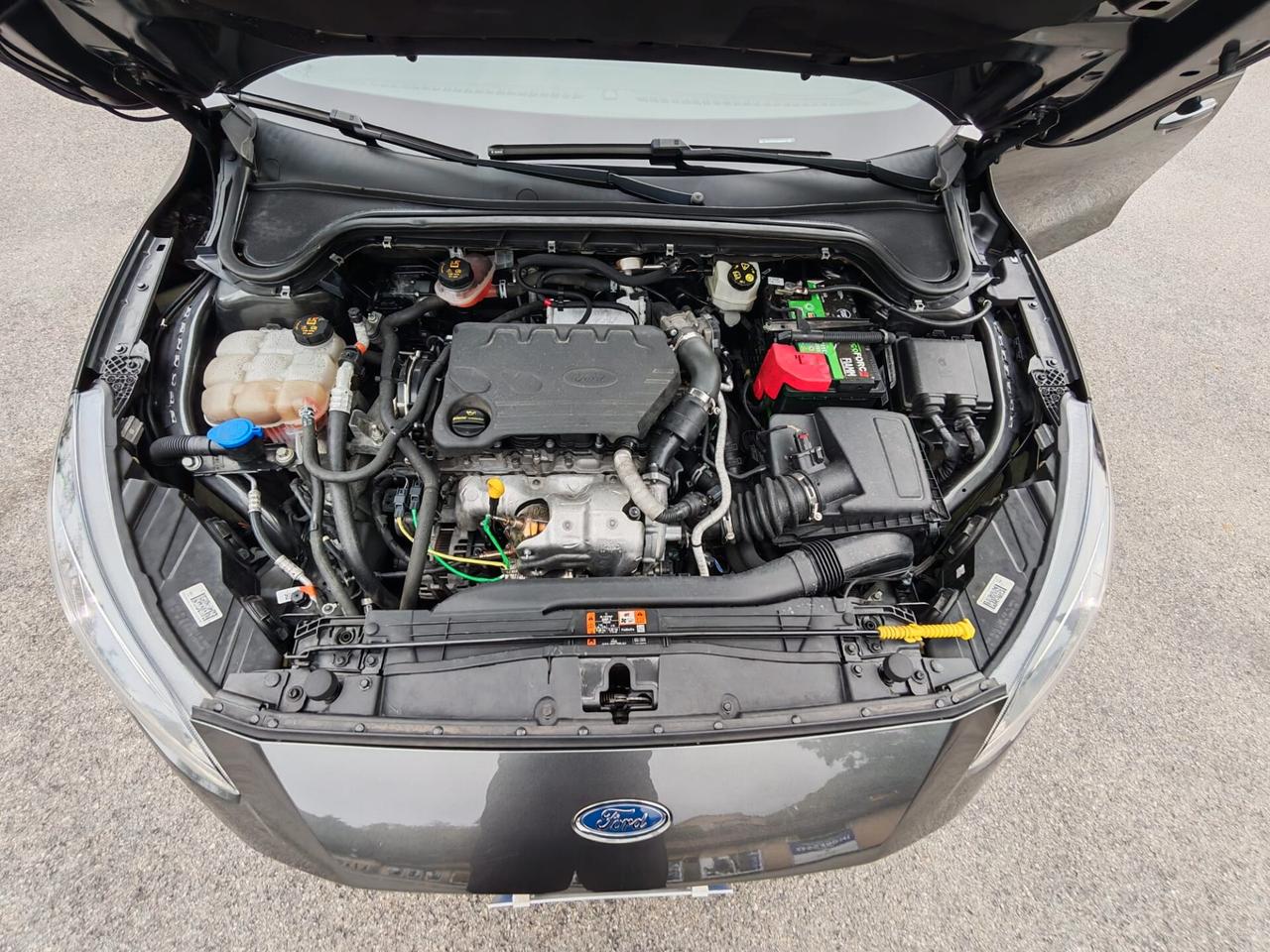 Ford Focus 1.5 EcoBlue 120 CV 5p. ST-Line auto