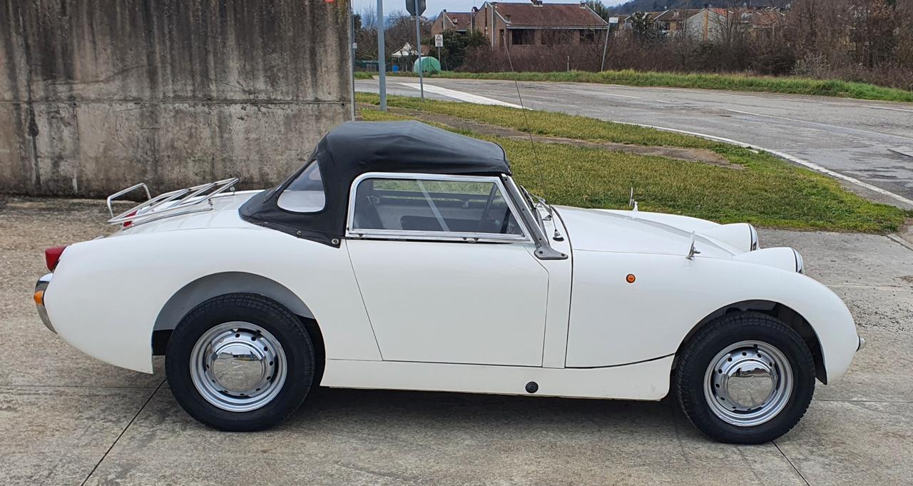 Austin Healey SPRITE FROG