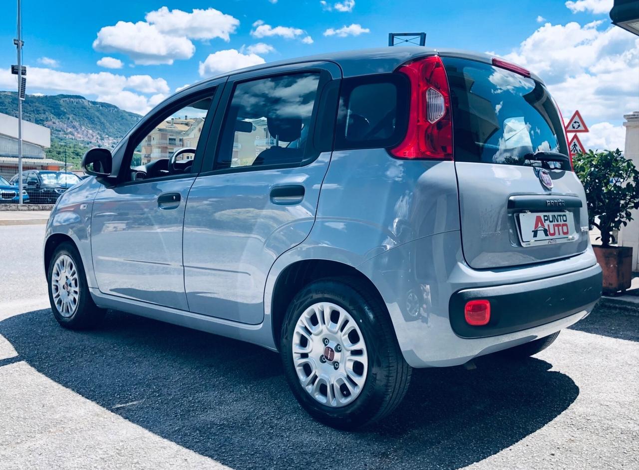 Fiat Panda 1.0 FireFly S&S Hybrid Easy