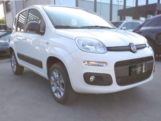 FIAT Panda 1.3 MJT S&S 4x4 Pop Climbing Van 2 posti