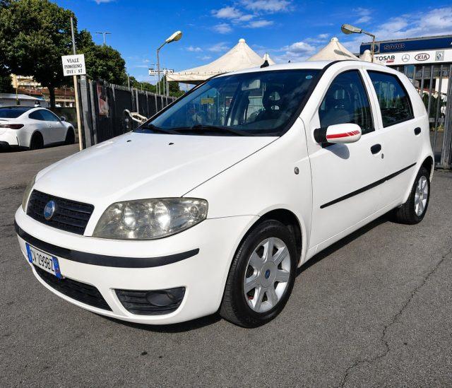 FIAT Punto 1.3 Multijet 16V 5 porte Dynamic Ok Neopatentati