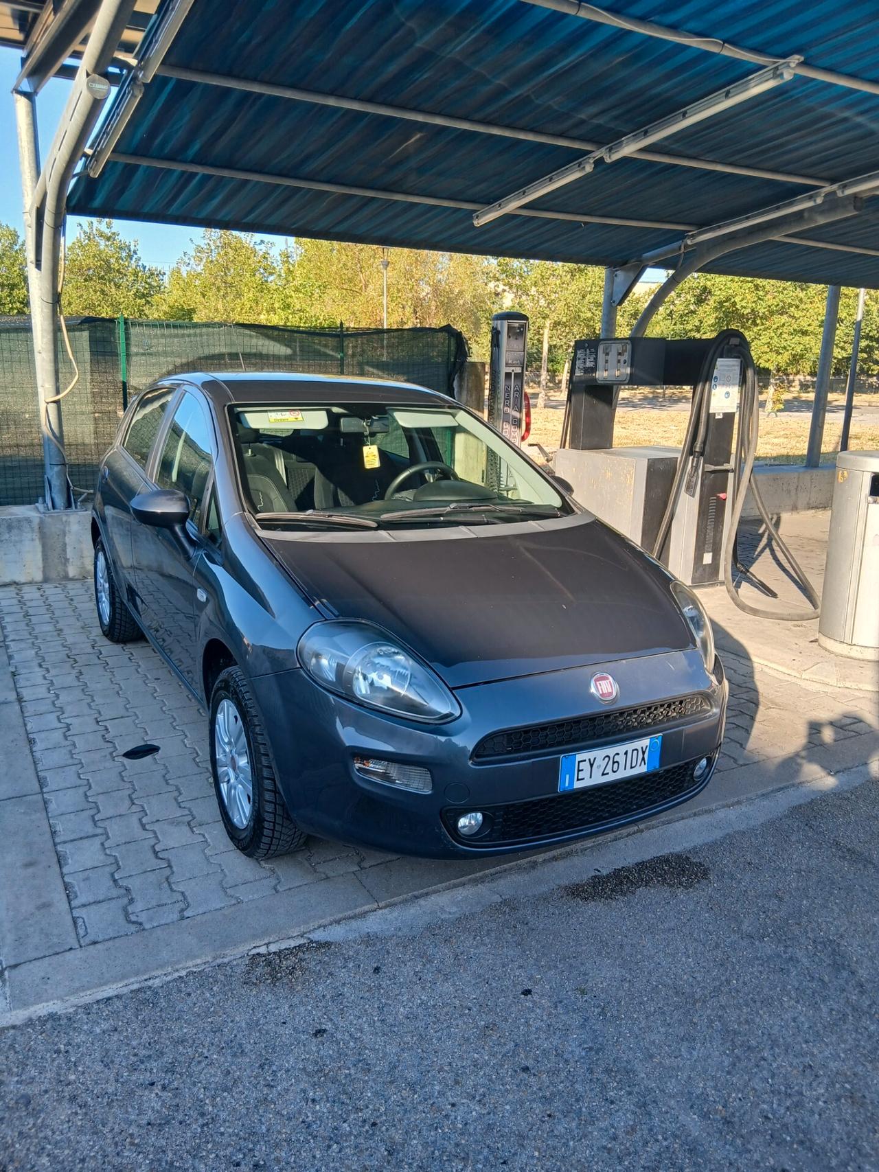 Fiat Punto 1.4 8V 5 porte Natural Power Street