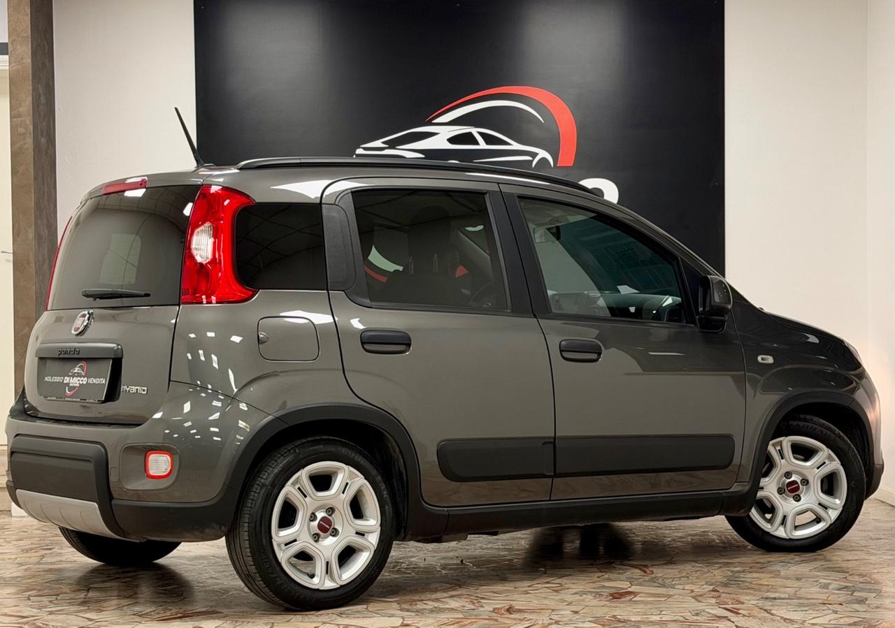 Fiat Panda 1.0 FireFly S&S Hybrid Red