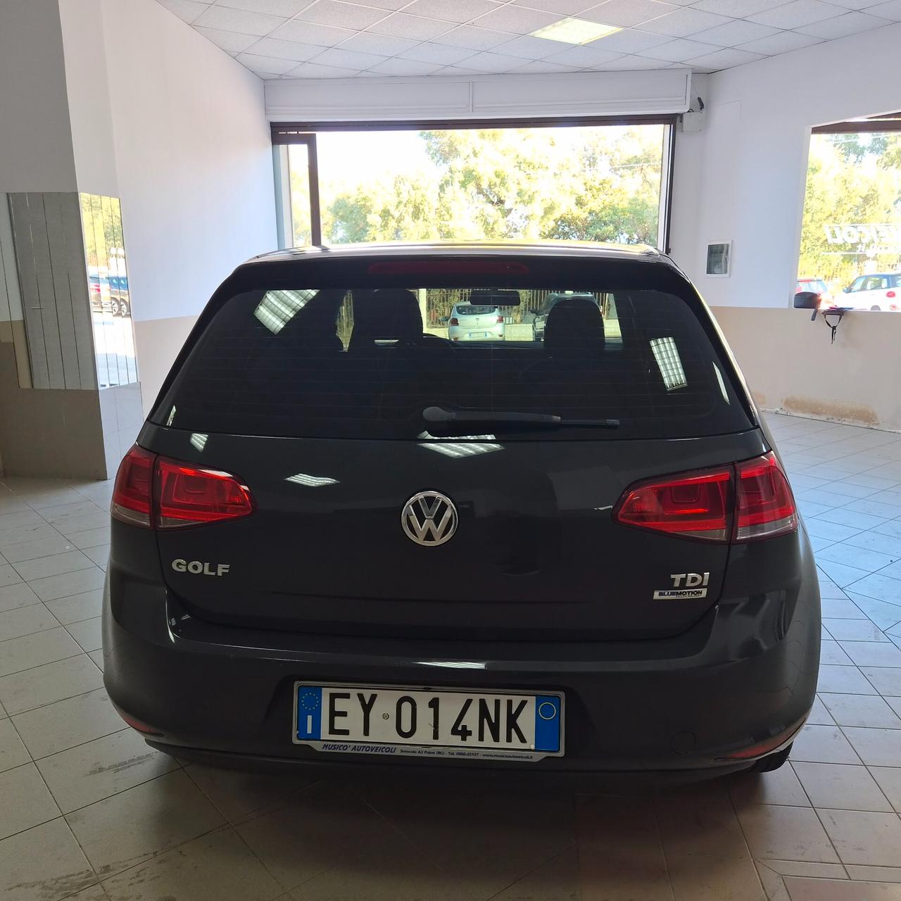Volkswagen Golf 1.6 TDI 5p. Comfortline BlueMotion Technology