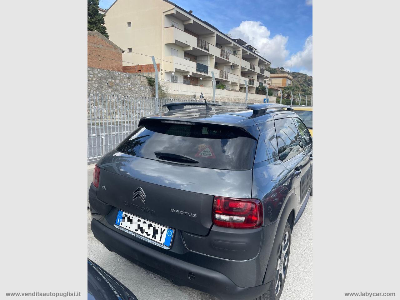 CITROEN C4 Cactus BlueHDi 100 Shine