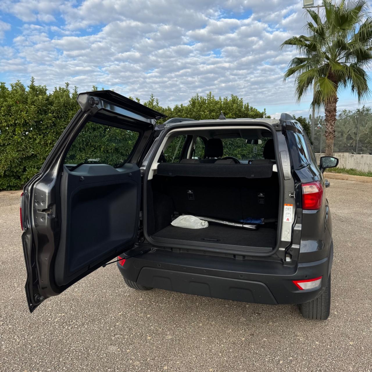 Ford EcoSport 1.0 EcoBoost 125 CV Start&Stop aut. Business