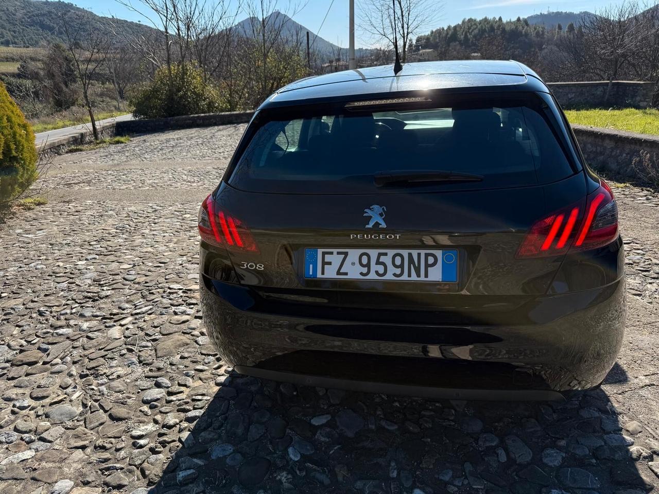 Peugeot 308 BlueHDi 130 S&S Active 2019-Tagliandata-Aziendale-Iva esposta