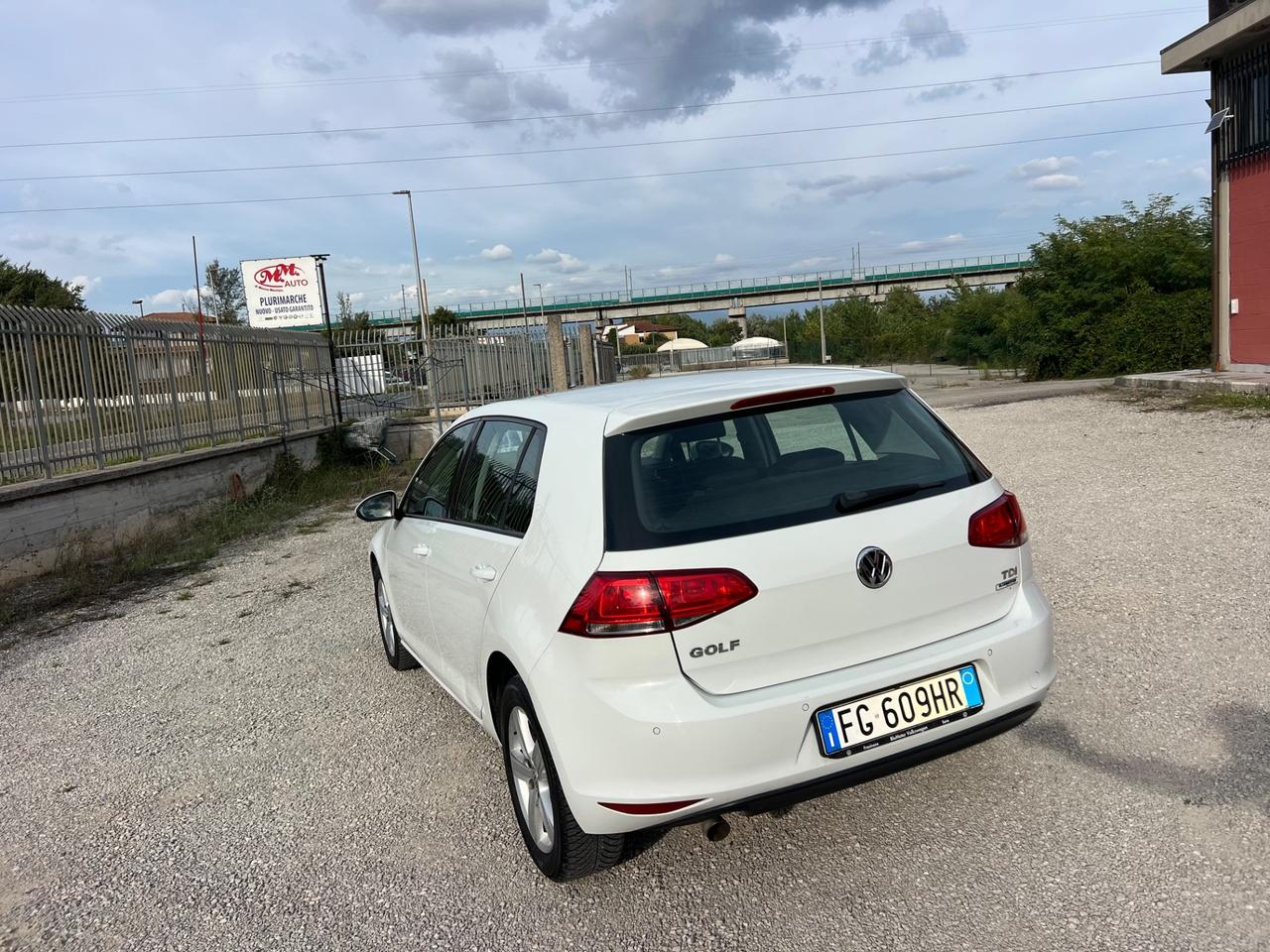 Volkswagen Golf 1.6 TDI 115 CV 5p. Business BlueMotion Technology
