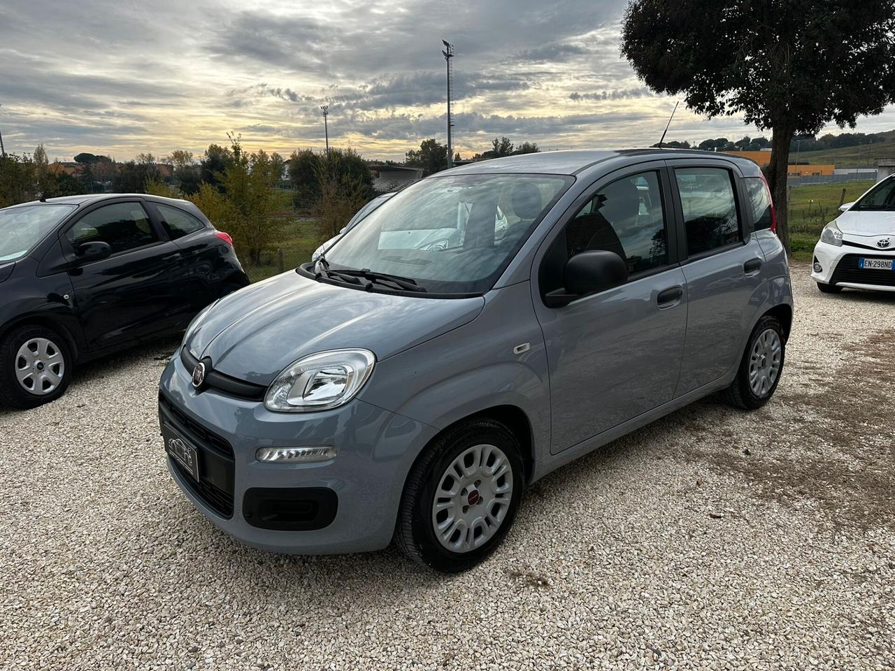 Fiat Panda Hybrid Unico Proprietario PREZZO REALE