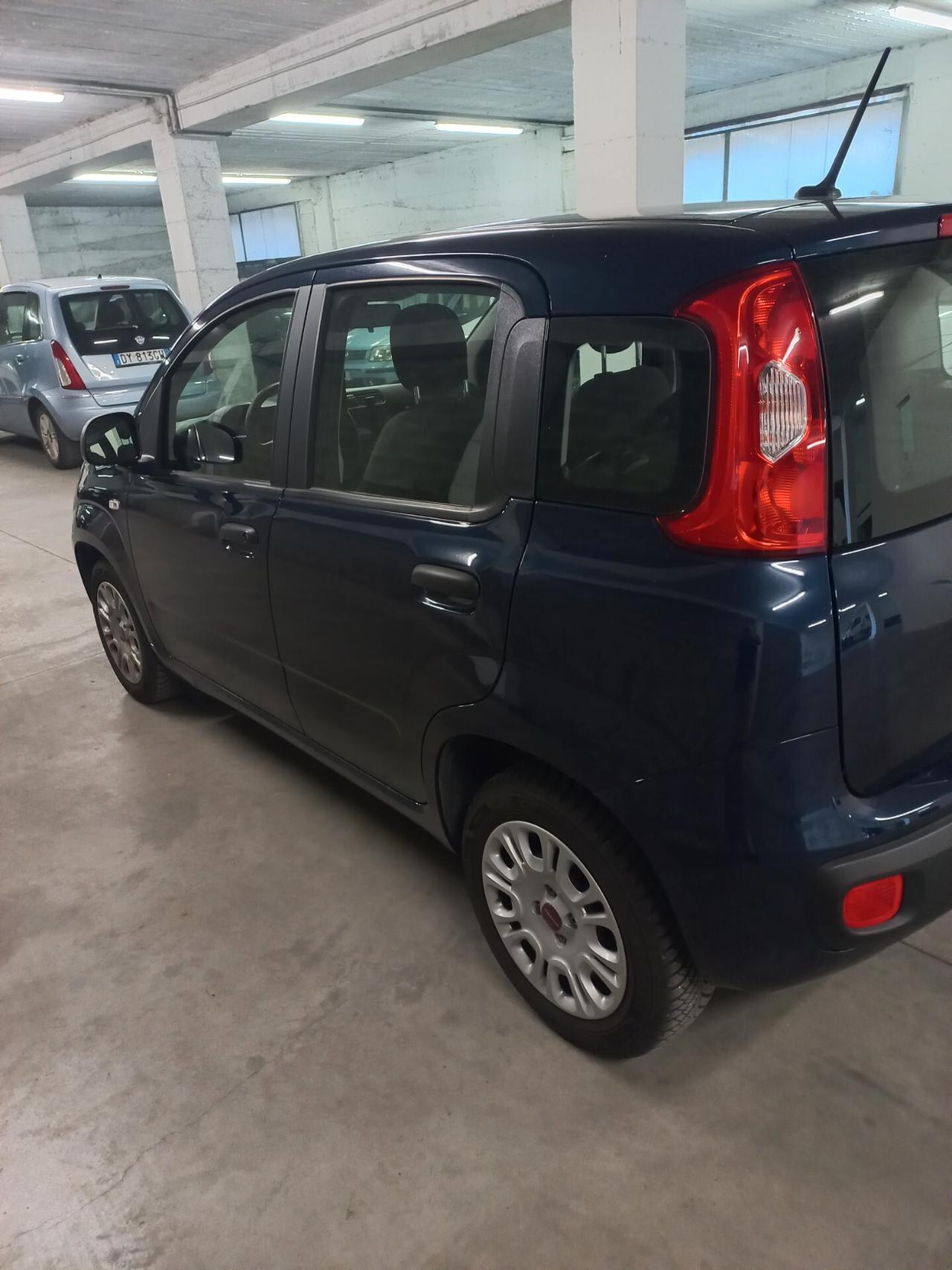 Fiat Panda 1.2 Pop modello Trussardi