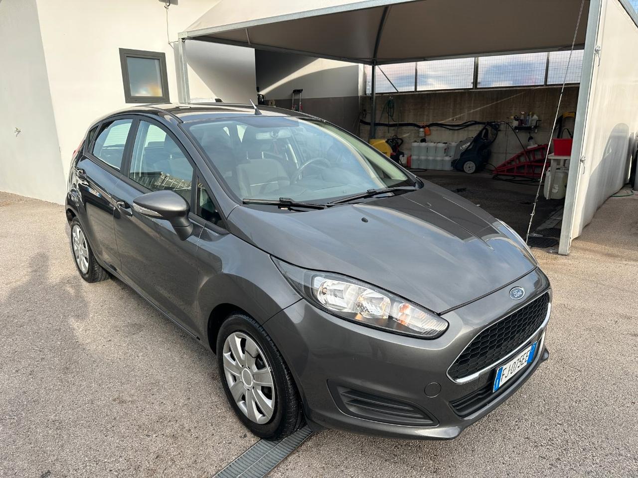 Ford Fiesta 5 Porte Fiesta 5p 1.5 tdci Business 75cv E6