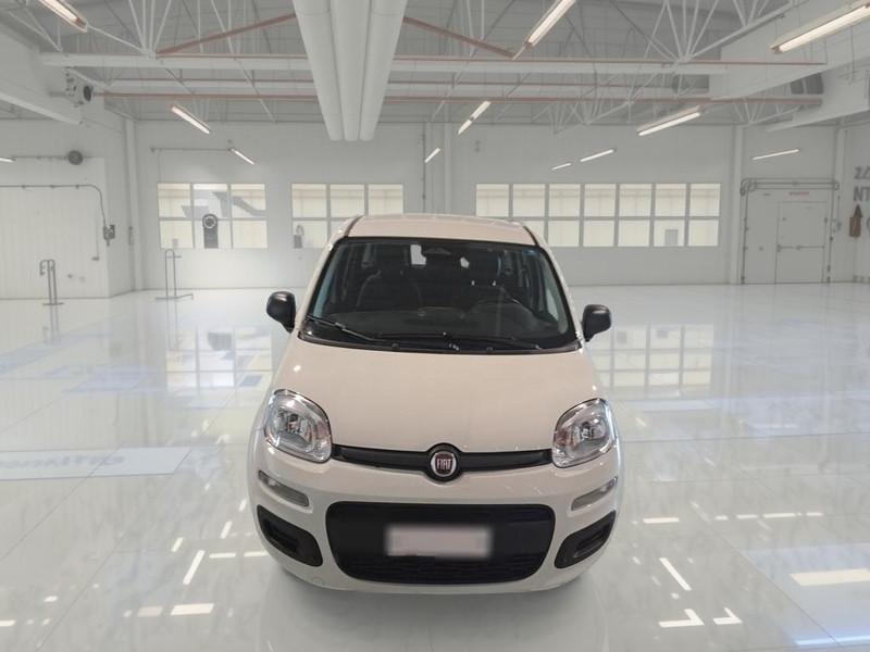 FIAT PANDINA 1.0 FIREFLY 65 CV SES 6M HYBRID ICON 5 PORTE BERLINA