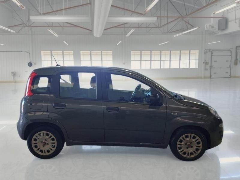 FIAT PANDA 1.0 FireFly 70cv S/S Hybrid 5 PORTE