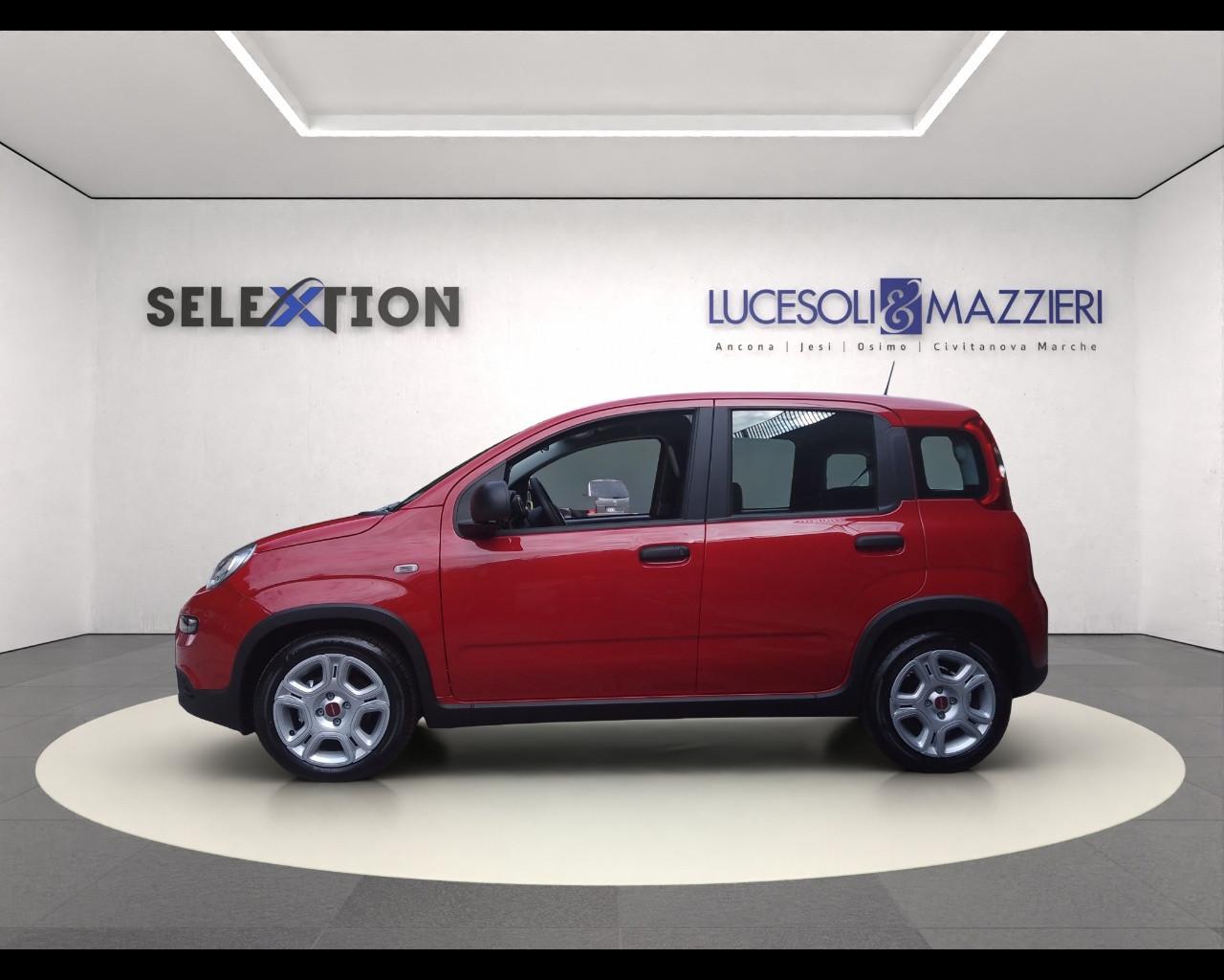 FIAT Panda 3ª serie - Panda 1.0 FireFly S&S Hybrid