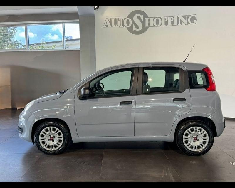 FIAT Panda 3ª serie 1.0 FireFly S&S Hybrid