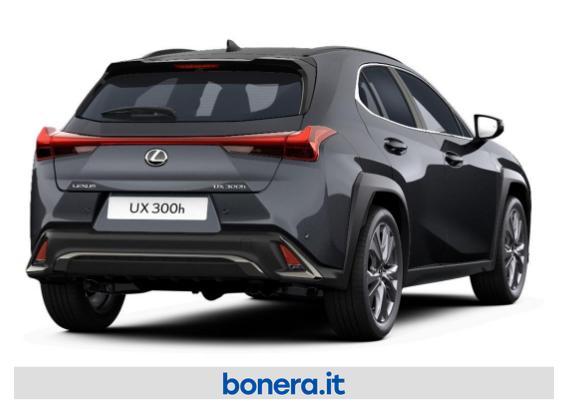 Lexus UX 300 2.0 Premium Hybrid F-Design 2WD Power Split Device