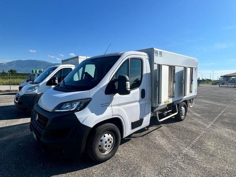 FIAT Ducato Telaio cabinato Frigo passo corto