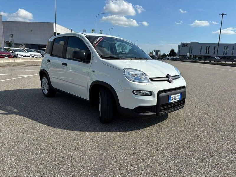 FIAT Panda Pandina 1.0 FireFly Hybrid 70cv S&S 1.0 FireFly Hybrid 70cv S&S