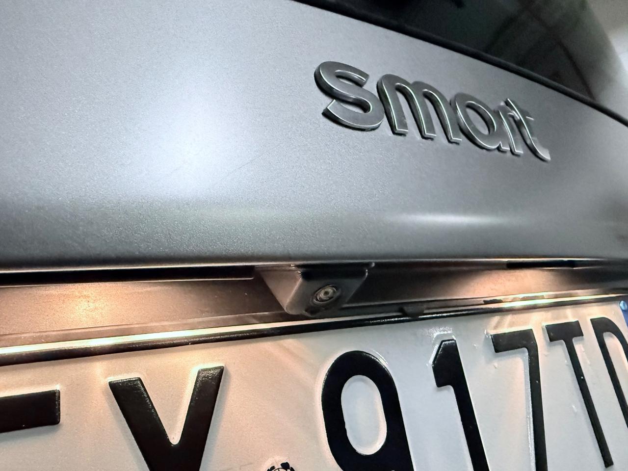 Smart ForTwo Superpassion LED NAVI RETROCAMERA