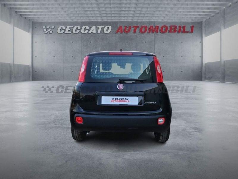 FIAT Pandina Pandina 1.0 65cv Hybrid Icon