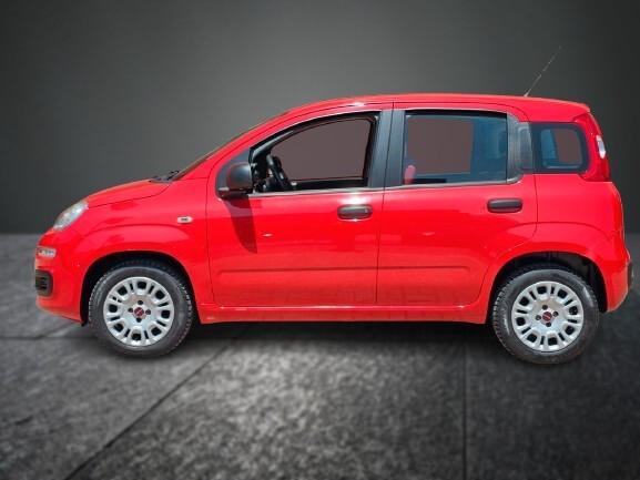 FIAT PANDA 1.2 69cv S&S EASY