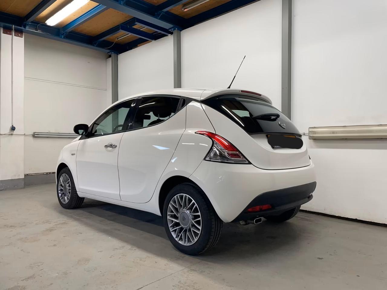 Lancia Ypsilon 1.3 MJT 16V 95 CV 5 porte S&S Elle ok neo patentati
