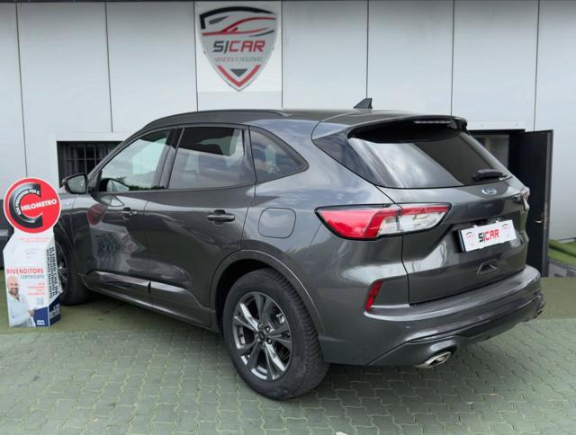 FORD Kuga 1.5 EcoBlue 120 CV aut. 2WD ST-Line X